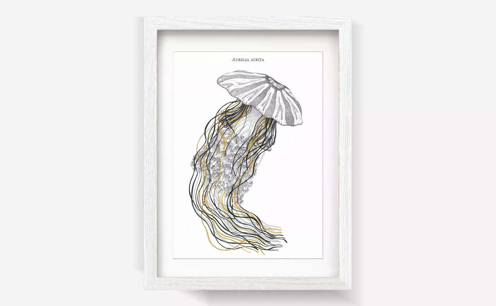 Claire Astigarraga - artiste plasticienne, sérigraphe, dessinatrice et navigatrice.