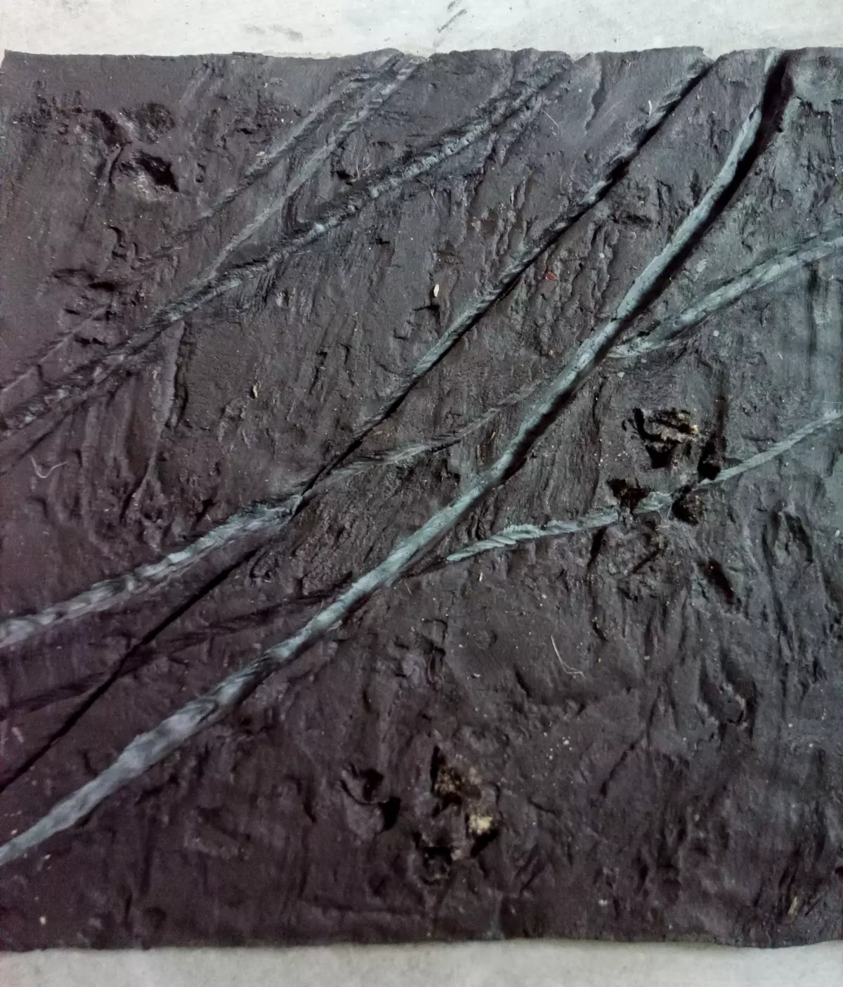 Claire Astigarraga - artiste plasticienne, sérigraphe, dessinatrice et navigatrice.